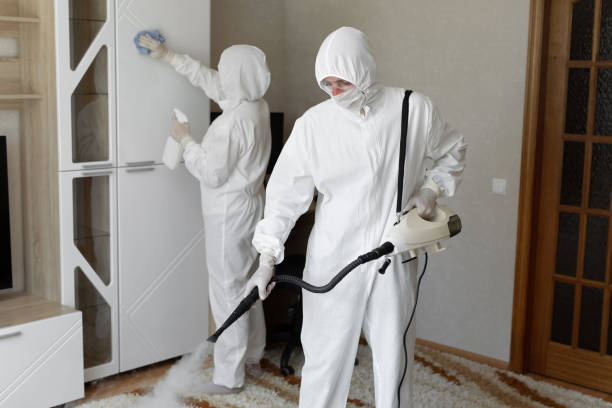 Best Attic Mold Removal  in Massanetta Springs, VA